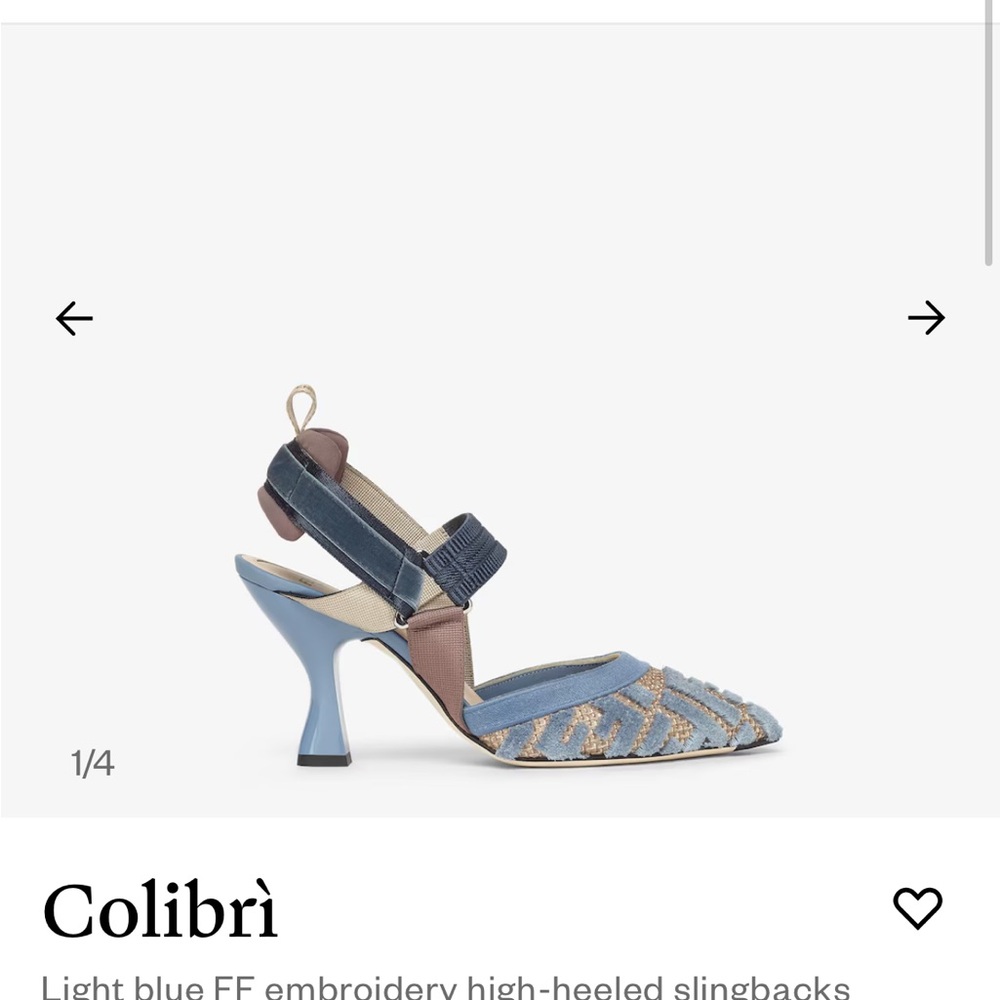 Fendi baby Blue and Brown Embroidered Slingbacks